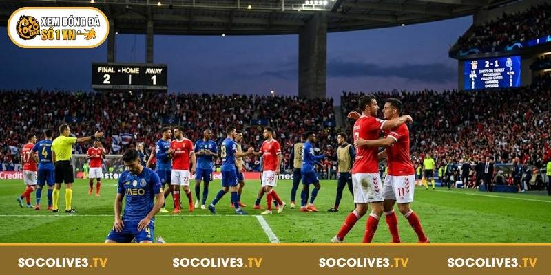 Trang chủ 207 Socolive cung cấp kết quả bóng đá nhanh và chuẩn xác